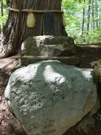 fushiogamijohi.jpg